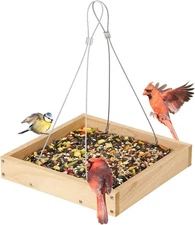 TT Nature Platform Bird Feeder for Outdoor, Eco-Friendly Wood Hanging Tray... 