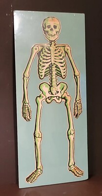 Vintage Halloween AMERICAN MERRI LEI Jointed Skeleton Die Cut Decoration Green#3