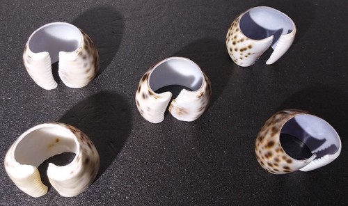 Juego de 5 servilleteros con caparazón de leopardo tortuga costero náutico natural - Imagen 8 de 8