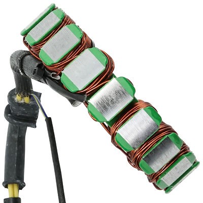 Road Passion Stator Coil Replacement For Honda TRX450FE/FM Foreman 450