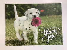 Thank You Card with Envelope - Dog with Flower 6-1/2" x 4-13/16"