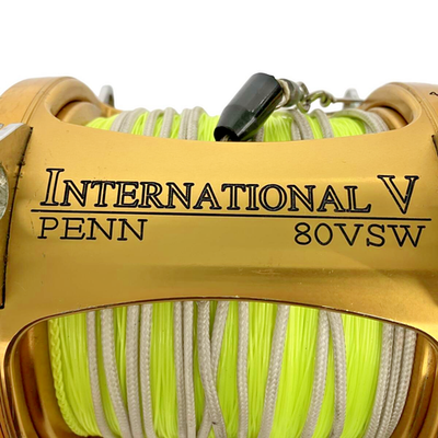 Penn International 80VSW 2 Speed Saltwater Fishing Reel for sale