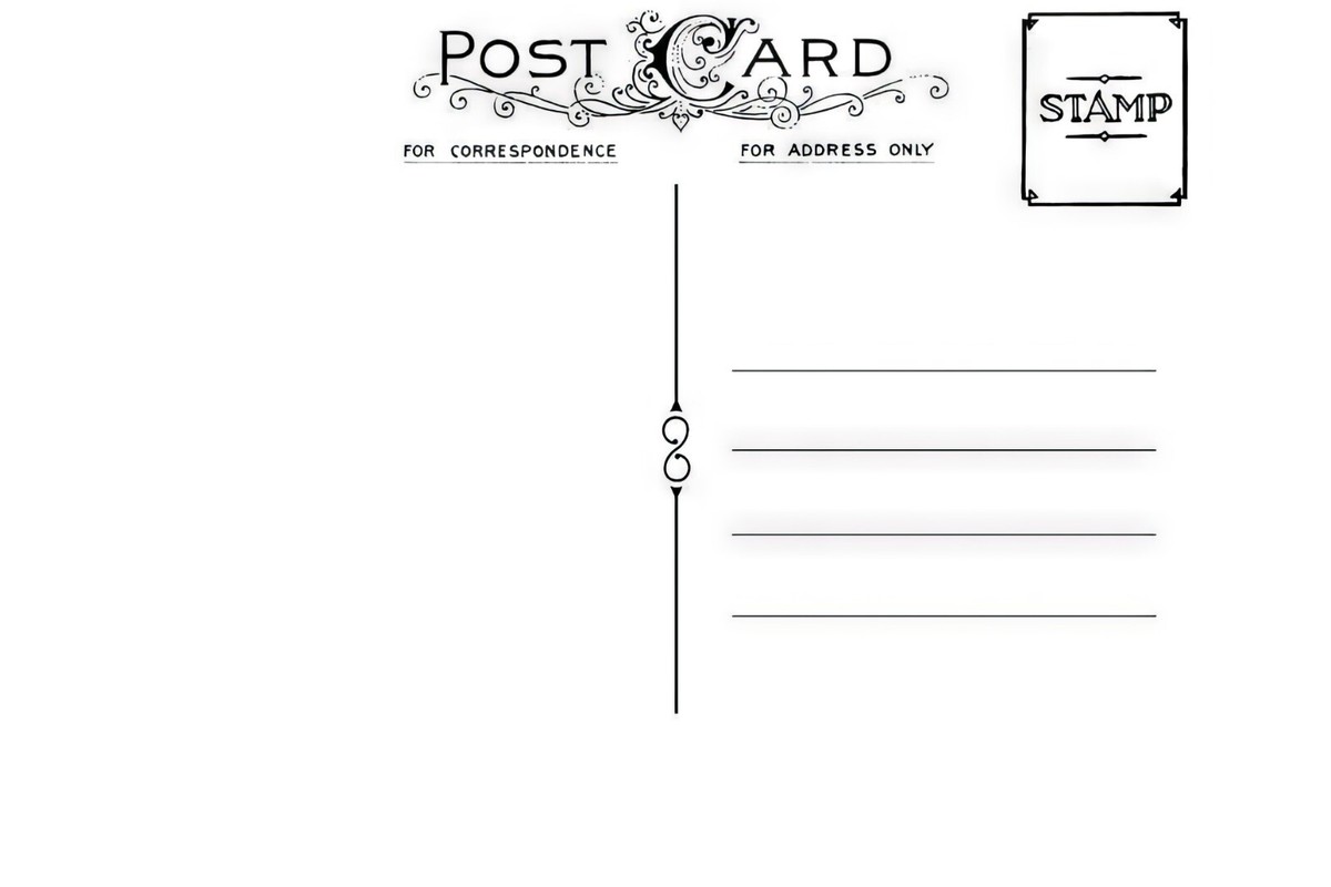 Un águila Calva Atacó A Donald Trump Durante Una Sesión De Fotos (VIDEO - Foto 10