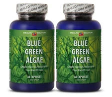 Klamath Lake immune support - BLUE GREEN ALGAE 500mg - 2 Bottles 120 Capsules