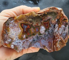 29.7 oz (842 gr) Multicolor Fortification Agate Pair, Unpolished Sagenite Agate