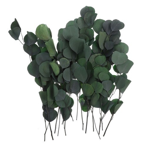 Preserving Dried Eucalyptus Stems Artificial Flower Natural Bouquet eBay