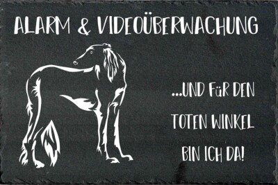 SALUKI Hundewarnschild Hundeschild Warnschild SCHIEFER Türschild NEU #00