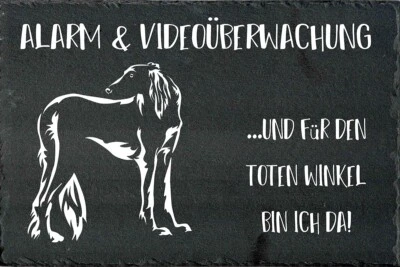 SALUKI Hundewarnschild Hundeschild Warnschild SCHIEFER Türschild NEU #00 - Bild 1 von 3