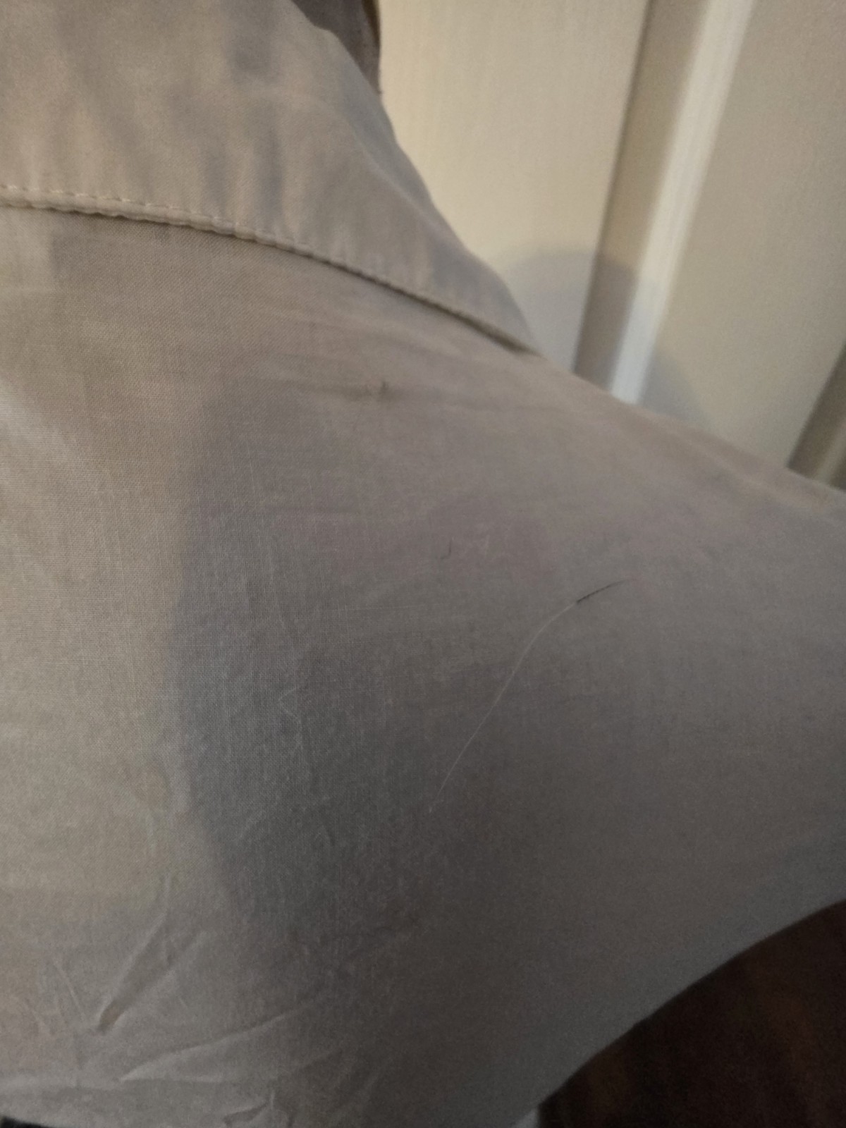 Boston Proper - image 6