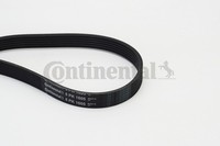 1X Continental Ctam 6PK1605 Keilrippenriemen FüR Renault CitroëN Opel Vauxhall F