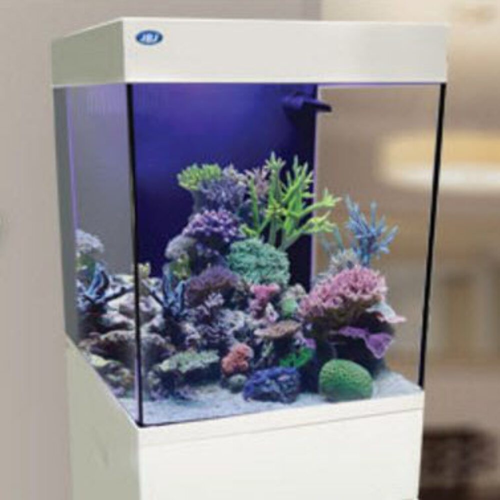 JBJ Aquarium - 15 GALLON WHITE CUBEY MIDSIZE ALL IN ONE TANK
