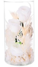 Preserved Rose in Glass Dome Dried Flowers Arrangement Gifts for Women Mother...