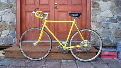 schwinn super sport vintage