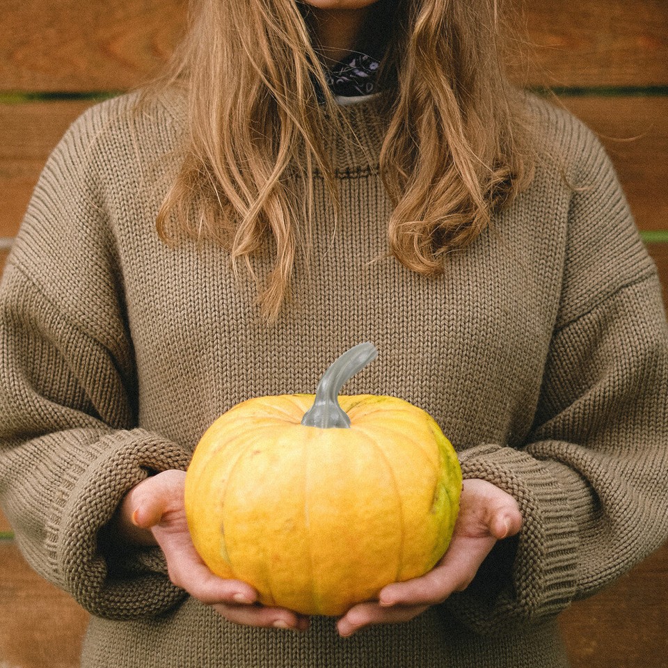 24 Pcs Inflatables Artificial Pumpkin Stems Plastic Handle Cost