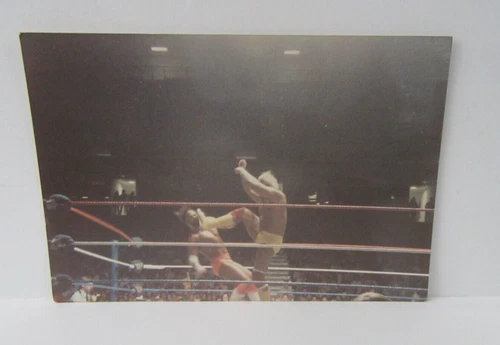WWF Macho Man & Hulk Hogan Original Type 1 WWF WWE Wrestling Ringside 1988/89