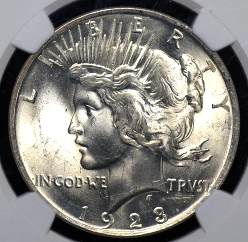 1923 PEACE DOLLAR NGC MS 65 ENCHANTING FROSTED WHITE SILVER SATIN CARTWHEELS