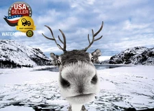 Reindeer Funny Christmas Cards Boxed with Envelopes Set of 12 Holiday Cards and 