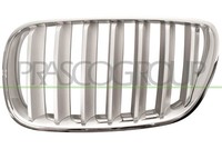 Prasco KüHlergitter Links Passend FüR BMW X3 E83 2.0D 2.0I Titan Chrom