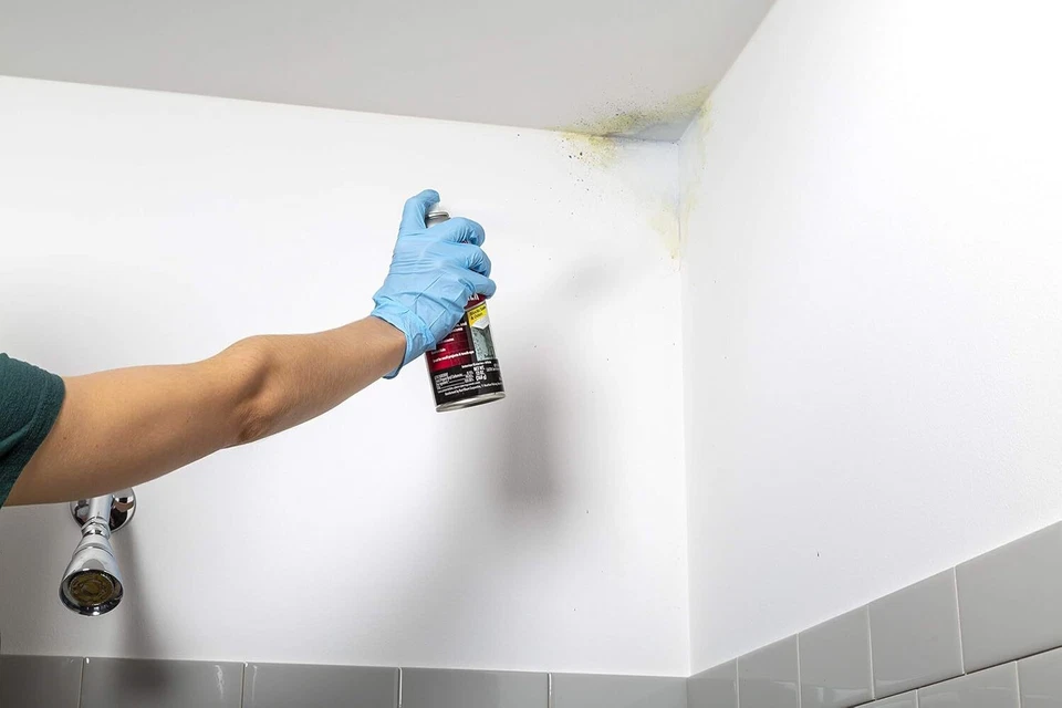 Imprimación en aerosol bloqueadora de moldes Rust-Oleum Zinsser 6PK, blanca, 13,00 fl oz (paquete de 6 Foto 2 de 4