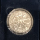 U.S. Mint American Silver Eagle 2007 1 oz Silver Business Strike Uncertified