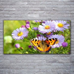 Acrylglasbilder Wandbilder Druck 120x60 Schmetterlinge Kunst