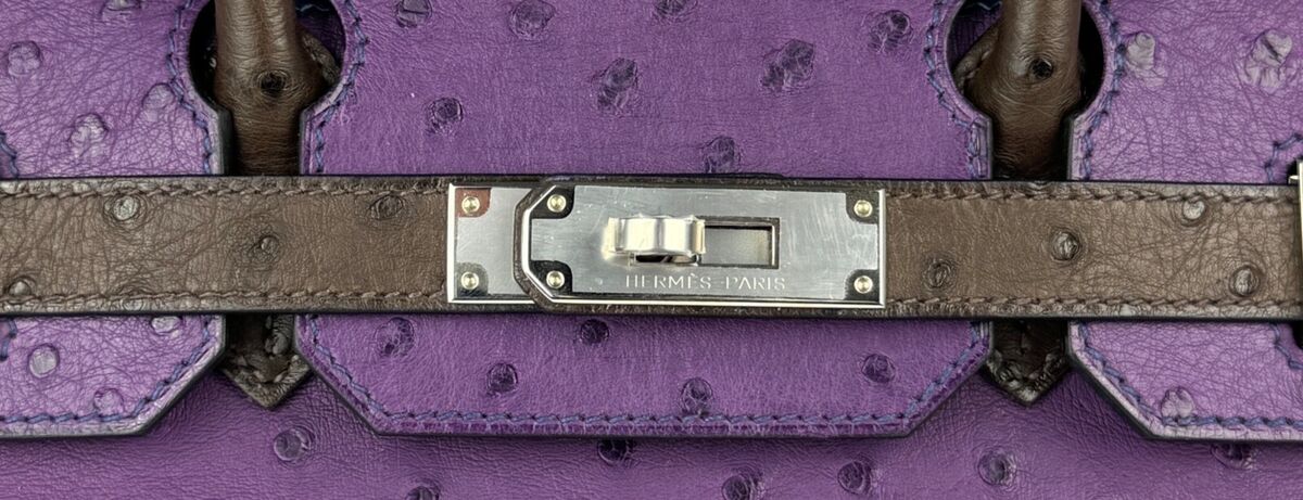 Hermes Birkin 30 Limited Ostrich Ghillies Violet, Blue de Hermes Birkin 30 Limited Ostrich Ghillies Violet, Blue de