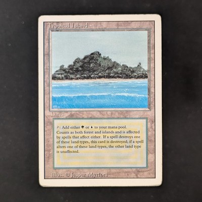 MTG \>> Tropical Island (PL) // Revised - 341 Trading - Magic