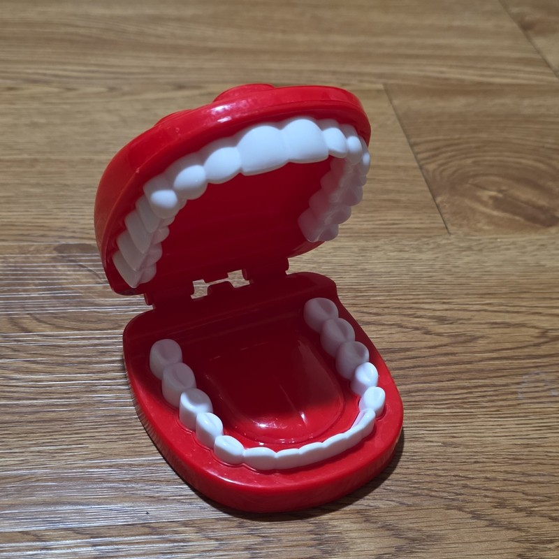 Teeth toy to help children learn about brushing teeth, Ages 3-10