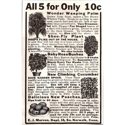 E, J, Murvon Wonder Weeping Palm Shoo-Fly Plant Norwalk CT 1939 Ad SAH7-M1