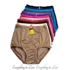 Rosa High Waist Light Tummy Control Full Coverage Satin Brief Girdle Panty 