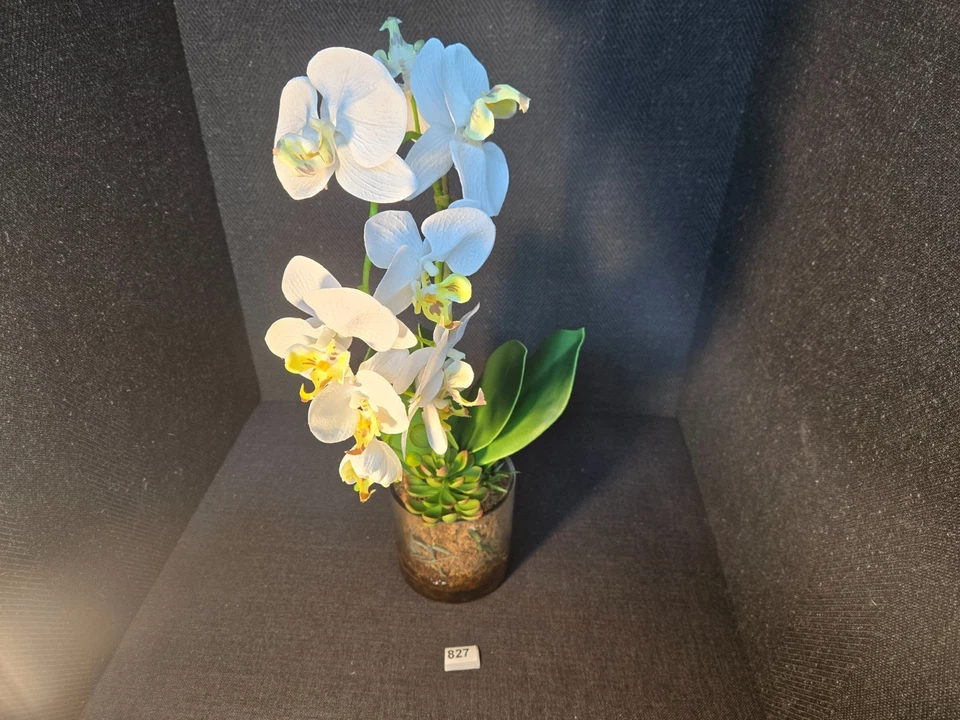 Allstate花卉人造中号Phalaenopsis植物玻璃锅 — 第 3/4 张图片