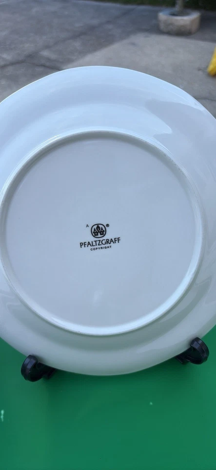 Juego de 6 Platos de Cena Pfaltzgraff Oso de Nieve Navidad Vacaciones 11" LEER Foto 2 de 4