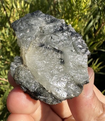 Brazilian Phenakite/Phenacite Crystal, Meditation, 58.60 Grams, 293 Carats