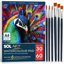 A4 Watercolour Paper Pad 30 Sheets 60 Pages Cold Pressed Artist 160GSM 6 Brushes