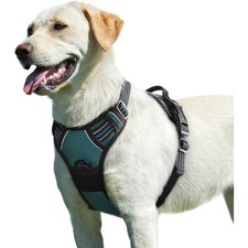 Hundegeschirr Groß Anti Zug Reflektor verstellbar Nylon