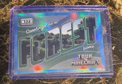 2024 Minecraft Forest Biome 10/10