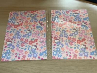 Erin Condren 7x9 Abdeckung