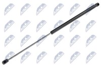NTY AE-RE-033 Gasdruckfeder FüR Renault Heckklappe, Kofferraum