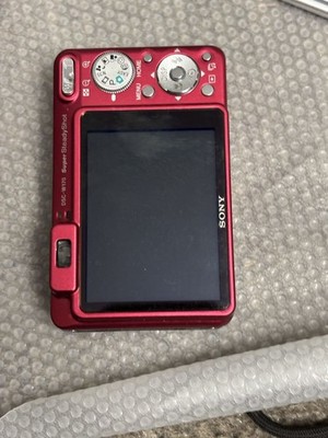 Sony Cyber-shot DSC-W170 10.1MP Digital Camera - Silver (DSC-W170