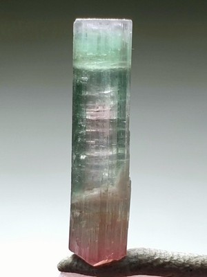 Top Quailty Purple-Cap Tri-Colour Tourmaline Crystal From Poprook Mine .