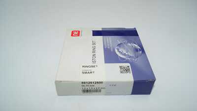 Kolbenringsatz Ringsatz 8912512500 Piston Ring kit 66,75mm smart 3 Zyl. Benz