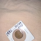 1895 Indian Head Cent Business Strike Philadelphia Mint Copper BN KM#80 — photo 4
