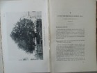 Picture 6 of 21