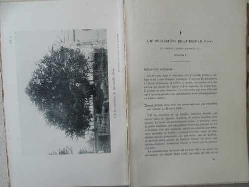 LES VIEUX ARBRES DE LA NORMANDIE, 1891/1899. Nombreuses planches. - Picture 6 of 21