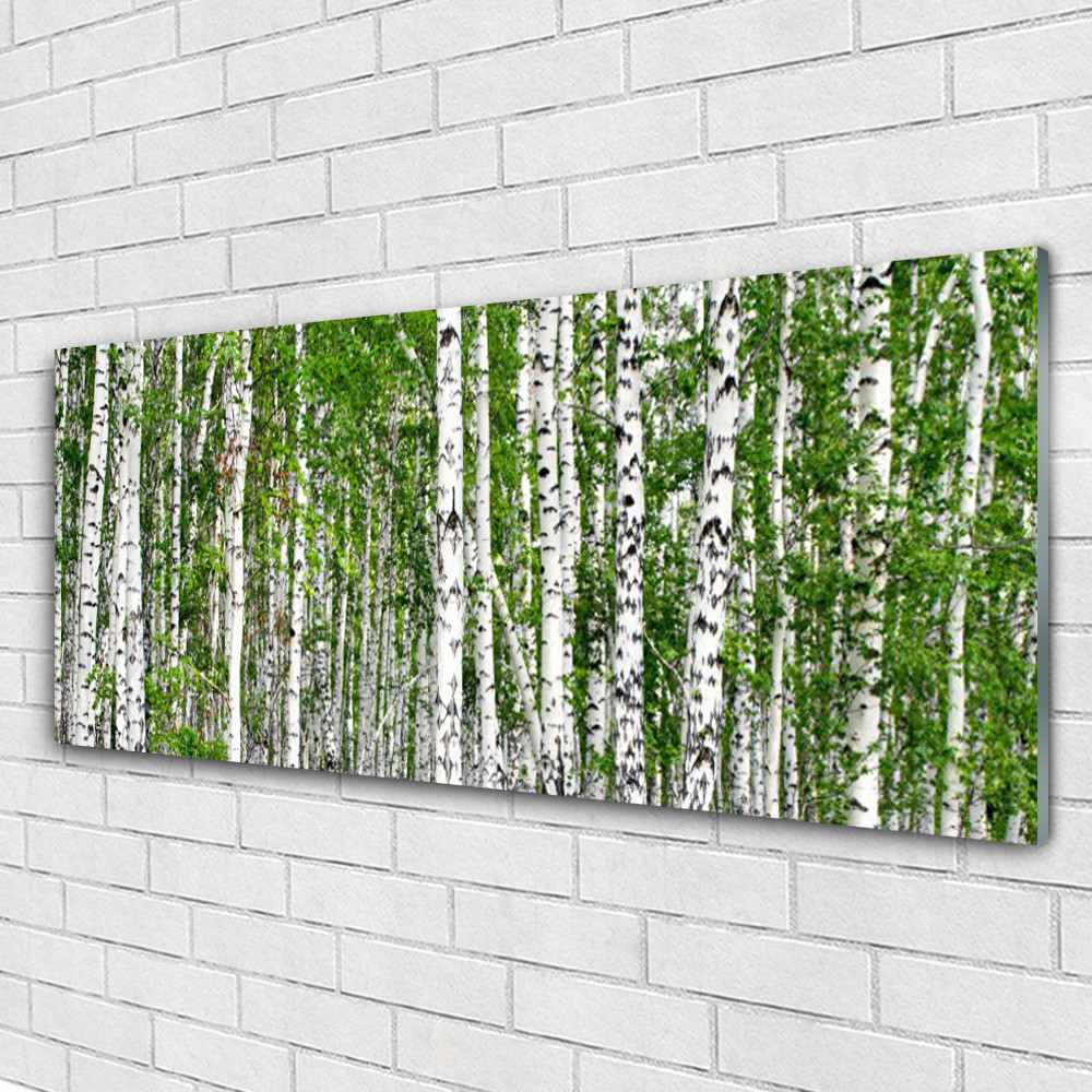 Tableau en verre acrylique forêt de bouleaux 125x50 cm pour salon