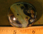 1.5inch 42g KAMBABA JASPER STROMATOLITE PALMSTONE MADAGASCAR #130 — photo 2