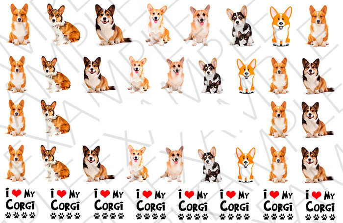 Set Of 38 Welsh Corgi Nail Art Stickers & Water Transfer Decals - Design A1355 For Manicures & Nail Decor