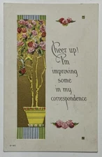 Vintage Postcard, Cheer Up! Flowers, Embossed, Divided Back