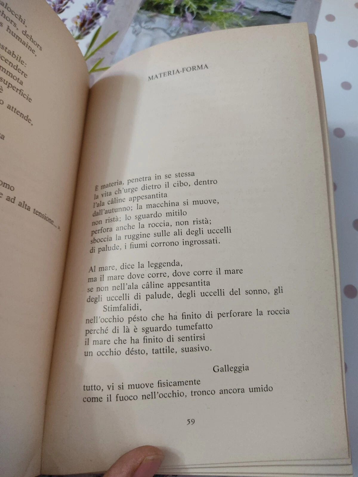 Foto 9 di 12