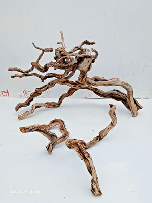 Large 30'' x 24'' x 11'' Manzanita Driftwood Branch, Aquarium, Terrarium +2 pieces